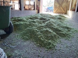 Photo IMG-20220813-WA0001