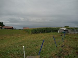 Photo IMG-20220821-WA0009