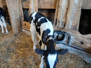 Photo IMG-20220918-WA0005