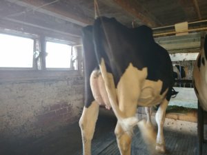 Photo IMG-20220918-WA0006