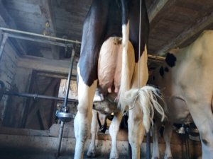 Photo IMG-20220918-WA0007