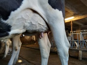 Photo IMG-20220918-WA0008