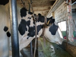 Photo IMG-20220918-WA0013