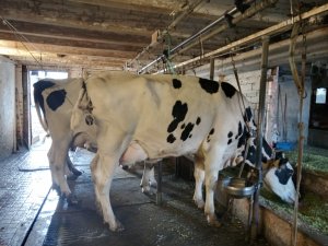 Photo IMG-20220918-WA0014