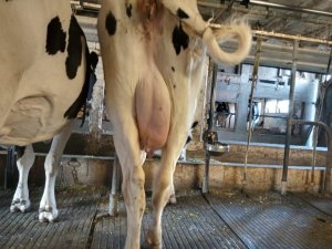 Photo IMG-20220918-WA0015