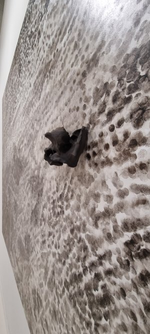 Photo Art Basel 2025 13