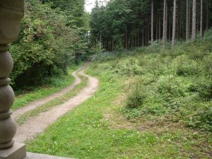 Photo Chapelle La Brillaz 15