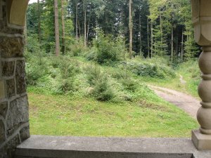 Photo Chapelle La Brillaz 16