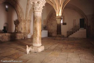 Photo 45040407dbpeJq ph