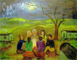 Photo nocrop 1600 gal2 03