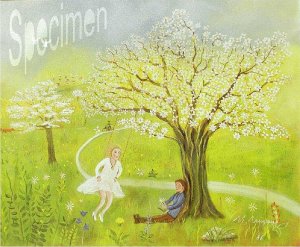 Photo nocrop 1600 gal2 04