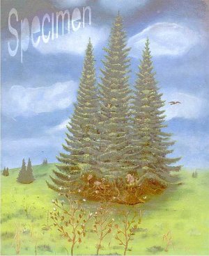 Photo nocrop 1600 gal2 13