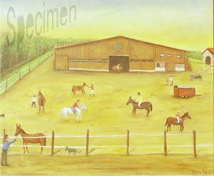 Photo nocrop 1600 gal3 04