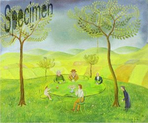 Photo nocrop 1600 gal3 06