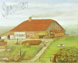 Photo nocrop 1600 gal3 07