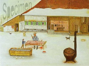 Photo nocrop 1600 gal3 09