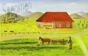 Photo nocrop 1600 gal3 16