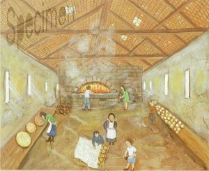 Photo nocrop 1600 gal4 09