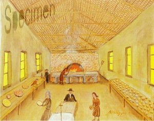 Photo nocrop 1600 gal4 14