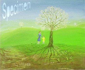 Photo nocrop 1600 gal5 06