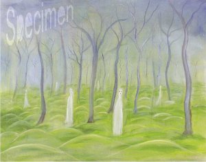 Photo nocrop 1600 gal6 01