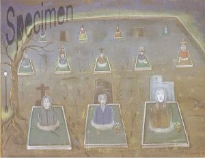 Photo nocrop 1600 gal6 02