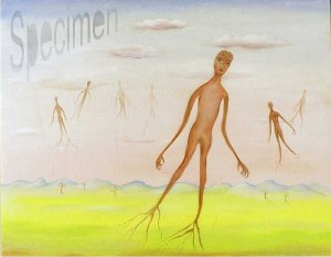 Photo nocrop 1600 gal6 03