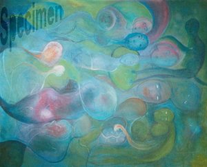 Photo nocrop 1600 gal6 18