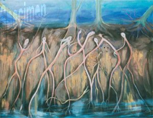 Photo nocrop 1600 gal6 19