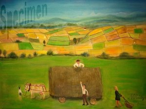 Photo nocrop 1600 gal7 20