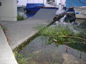 Photo Chevroux 2005 03