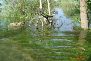 Photo Chevroux 2007 02