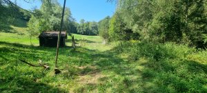 Photo 20240828 123252