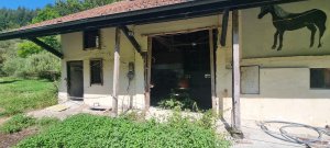 Photo 20240828 123337