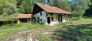 Photo 20240828 123403