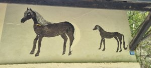 Photo 20240828 123448