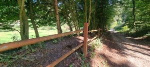 Photo 20240828 123954