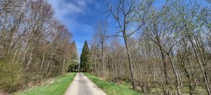 Photo Foret Payerne 20240405 125907