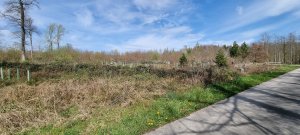 Photo Foret Payerne 20240405 130005