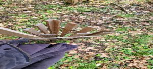 Photo Foret Rossens 20240316 134838