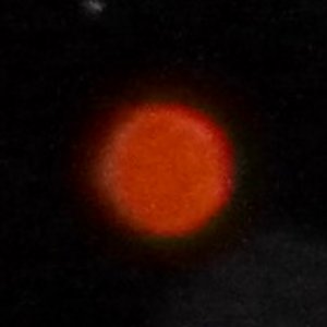 Photo Spheres Jose VsG 280112 8