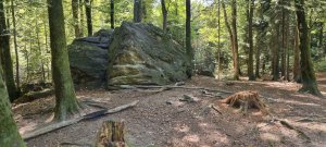 Photo 20230902 144609