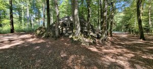 Photo 20230902 144657