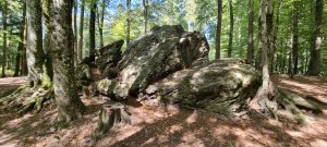 Photo 20230902 144719