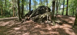 Photo 20230902 144732