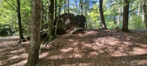 Photo 20230902 144756