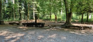 Photo 20230902 144911