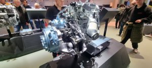 Photo 20240303 123813