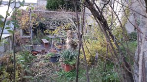 Photo 20191124 160712